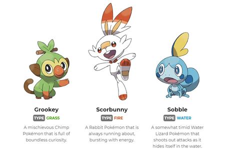 Pokemon Sword & Shield Starters: which starter Pokemon should you ...