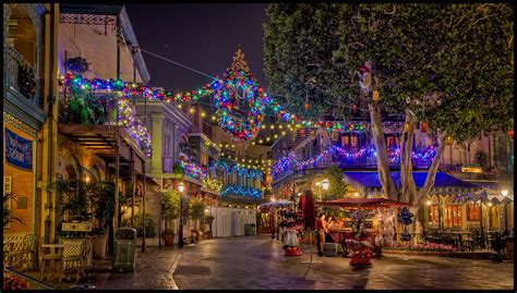 Lights are Up | The Christmas lights are up in New Orleans S… | Flickr