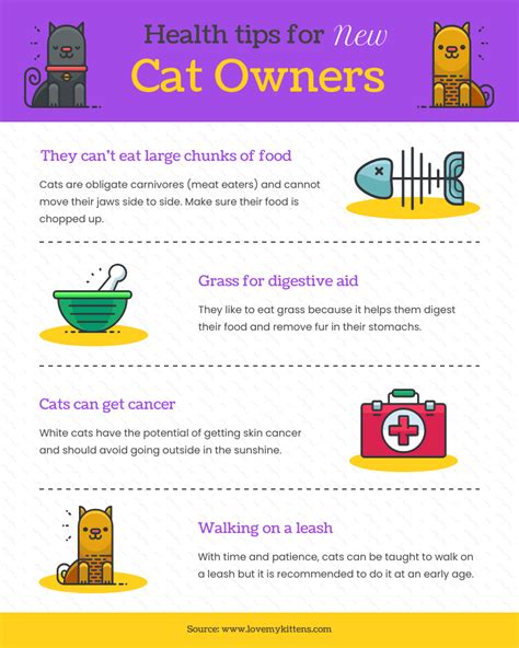 Health Tips For New Cat Owners Infographic Template - Venngage