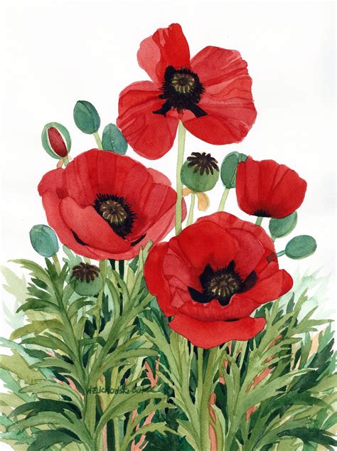 Red Poppies Watercolor Painting Reproduction by Wanda Zuchowski-schick ...