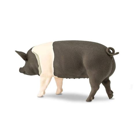 Hampshire Pig | Farm | Safari Ltd®