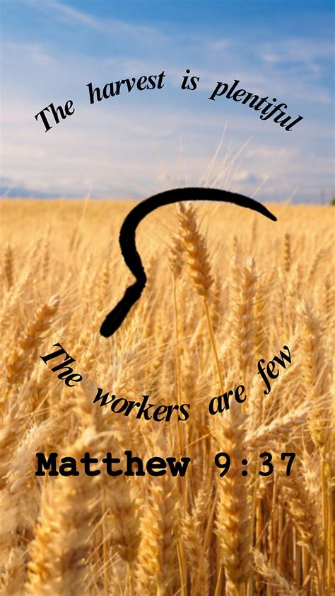 Harvest, bible, christian, encouragement, field, quotes, verse, HD ...