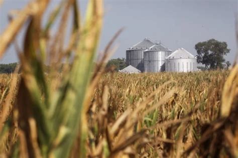 Agriculture : Indiana Agriculture