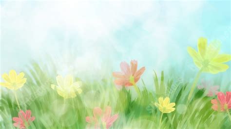 Spring Flower Beautiful White Flowers Nature Powerpoint Background For ...