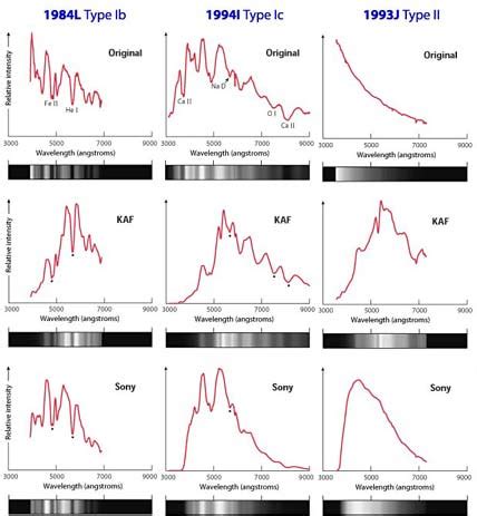 A Field Guide to Supernova Spectra - Sky & Telescope - Sky & Telescope