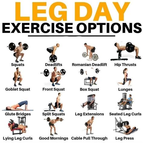 Leg Day Options | Gym workouts for men, Weight training workouts, Gym ...