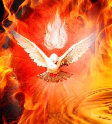 a white dove flying over a fire filled sky