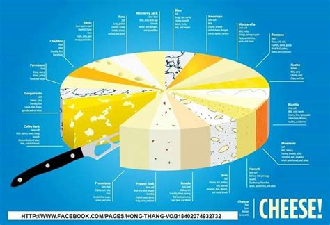 The wheel of cheese | Cheese pairings, Types of cheese, Cheese lover