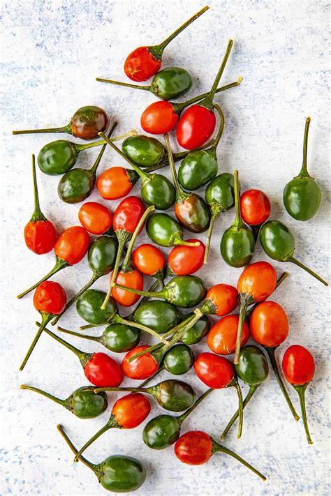 Chili Pepper Types A List Of Chili Peppers And Their Heat Levels | Free ...