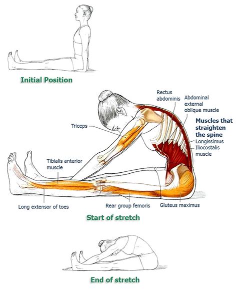 8 Exercises To Improve Your Posture And Relieve Your Back & Spine