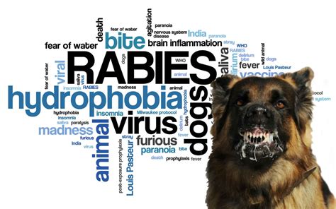 Rabies Fact Sheet - NCN Family and Community Wellness Centre