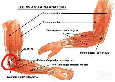 Elbow, Forearm Pain | AHCN