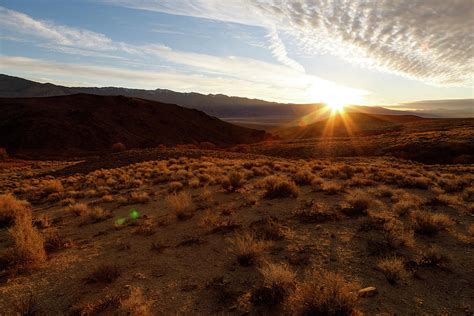 Lone Pine Sunrise Photograph by Nicholas Pascarella - Fine Art America