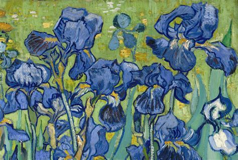 Five Ways of Seeing Van Gogh's Irises | Van gogh irises, Van gogh ...