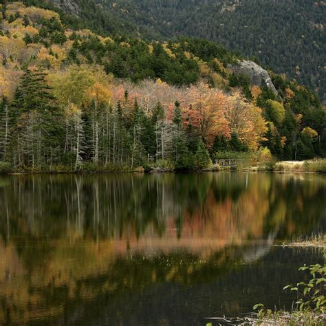 Download wallpaper 2780x2780 forest, reflection, lake, autumn, nature ...