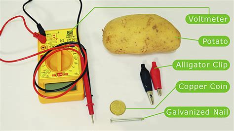 How to Create a Potato Battery: 13 Steps (with Pictures) - wikiHow