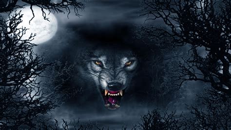 Dark Wolf Wallpapers on WallpaperDog