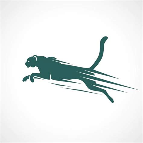 Cheetah Running Illustrations, Royalty-Free Vector Graphics & Clip Art ...