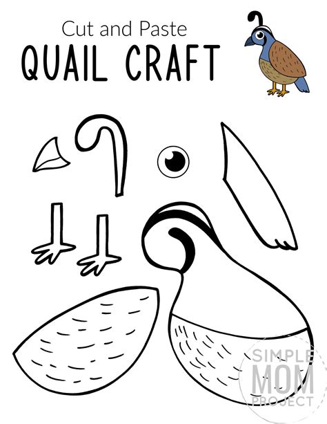 Easy Cut and Paste Quail Craft for Kids - Simple Mom Project