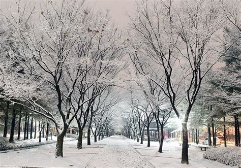 Korea Budget Tour 5D4N. Korea Muslim Travel, Seoul Winter HD wallpaper ...