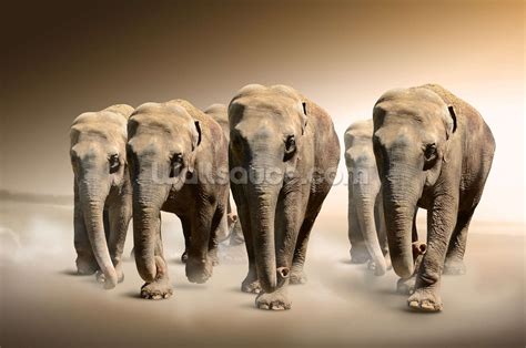 Herd of Elephants Wallpaper Wall Mural | Wallsauce UK