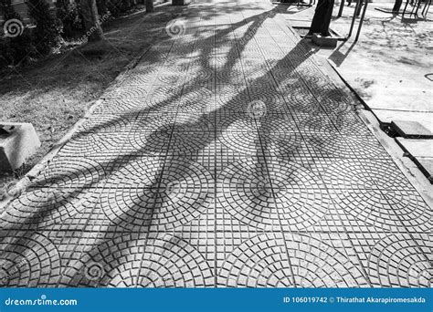 Stone Walkway. Monochrome Texture. Stock Photo - Image of pattern ...