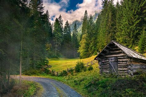 Paisajes Bosque Naturaleza - Foto gratis en Pixabay