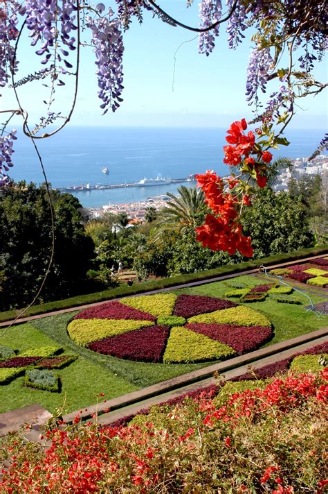 Funchal botanic garden | Garden art, Botanical gardens, Beautiful gardens