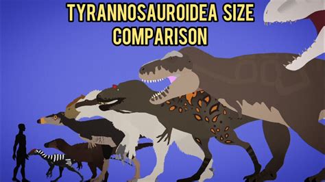 Tyrannosauroidea Size Comparison Animation ( Stick Nodes ) - YouTube