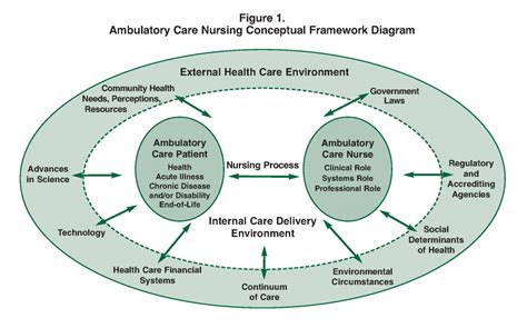 Conceptual Framework | American Academy of Ambulatory Care Nursing