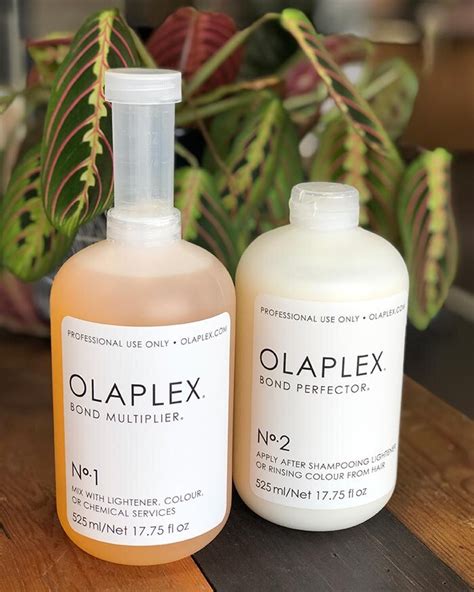 Olaplex Bond Protecting Colour Treatment — Hays Salon