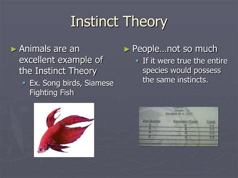 Instinct Psychology Examples