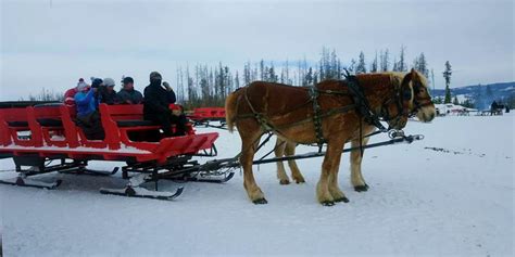 Dashing Thru the Snow Sleigh Rides | Winter sleigh ride in Fraser, CO