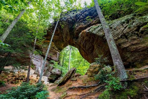 The Best Time To Visit Red River Gorge | StayOver RRG