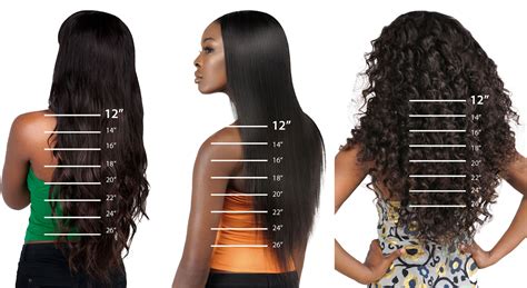 hair length chart Hair lengths chart men