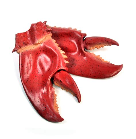 Giant Lobster Claws | Pink Cat Shop