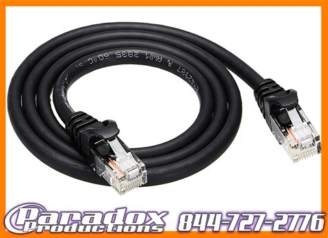 50' Ethernet Cable - Paradox Productions