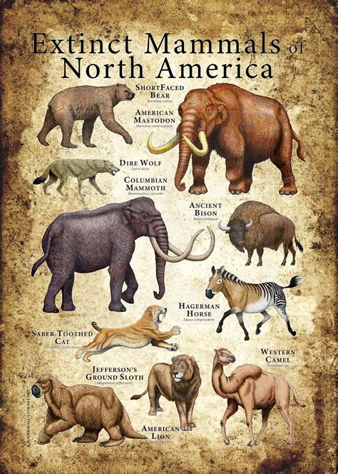 Top 141 + Extinct animals in the last 1000 years - Lifewithvernonhoward.com