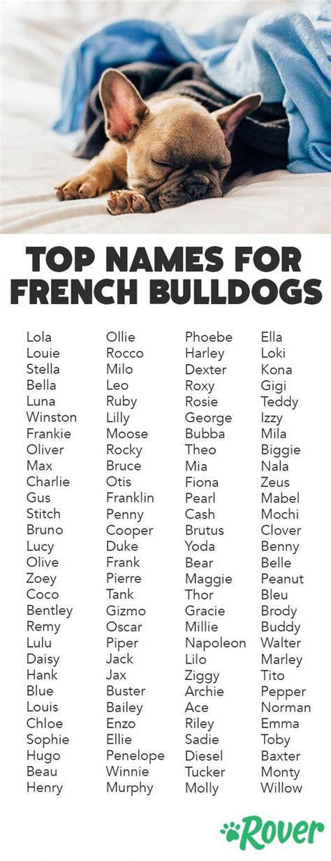 The Top Names for French Bulldogs. | French bulldog names, Bulldog ...