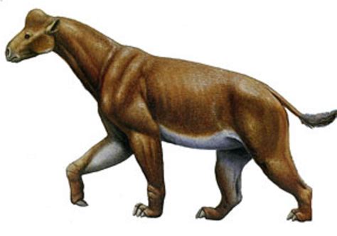 Extinct North American Mammals - Pets Lovers