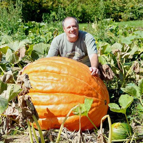 Pumpkin 'Atlantic Giant' - Seeds | Suttons