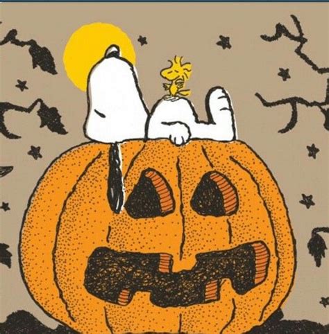 pumpkin | Snoopy halloween, Snoopy, Snoopy love