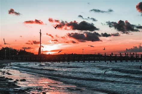 Premium Photo | Silhouette of beach during sunset