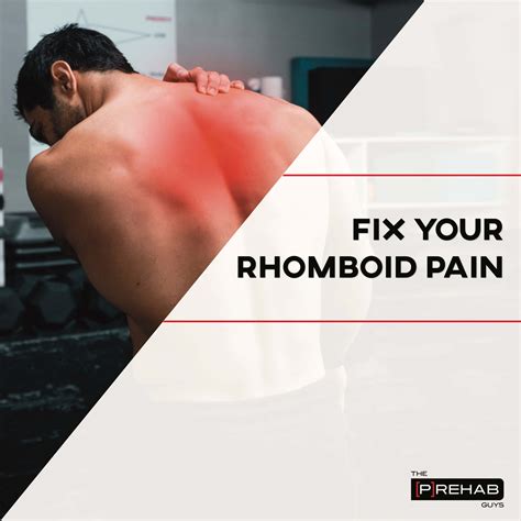 How To Fix Rhomboid Pain – [𝗣]𝗥𝗲𝗵𝗮𝗯