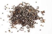 Chia Seeds in Tamil Nadu - Manufacturers and Suppliers India