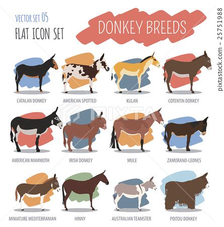 Donkey breeds icon set. Animal farming. - Stock Illustration [25751988 ...