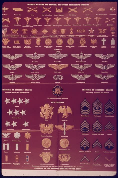 United States Army enlisted rank insignia of World War II - Wikiwand