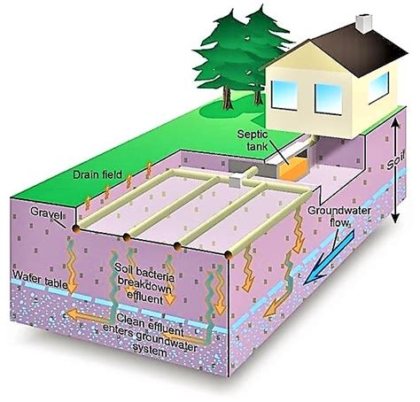 Leach Fields | SSWM - Find tools for sustainable sanitation and water ...