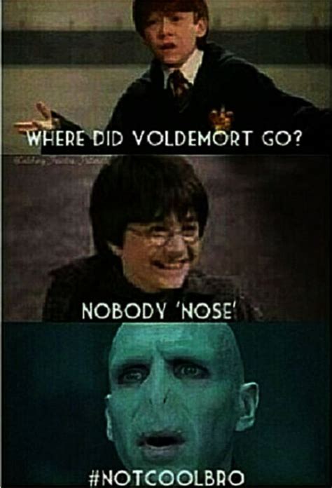 Funny Appropriate Harry Potter Memes any Harry Potter World Disneyland ...