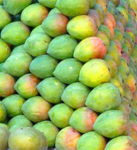 Popular varieties of mangoes in India - ixigo Trip Planner